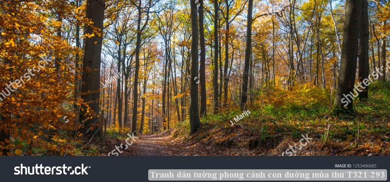 Tranh dán tường phong cảnh con đường mùa thu T321-293